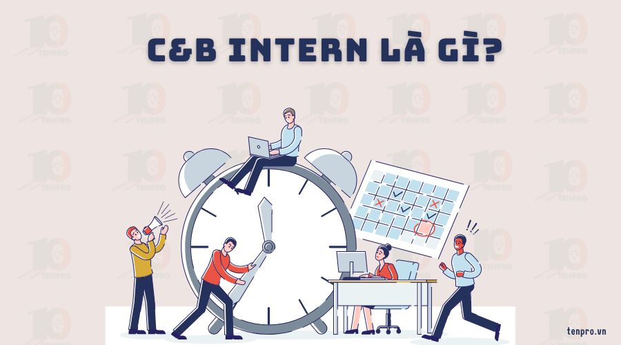 C&B Intern là gì? Chi tiết mô tả công việc và kỹ năng cần có